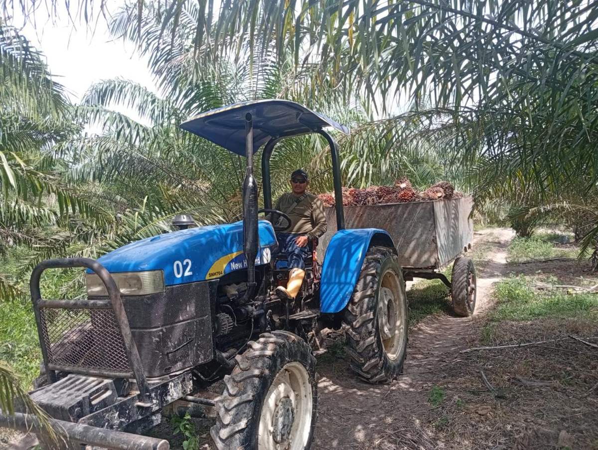 Tractor con remolque en la cosecha